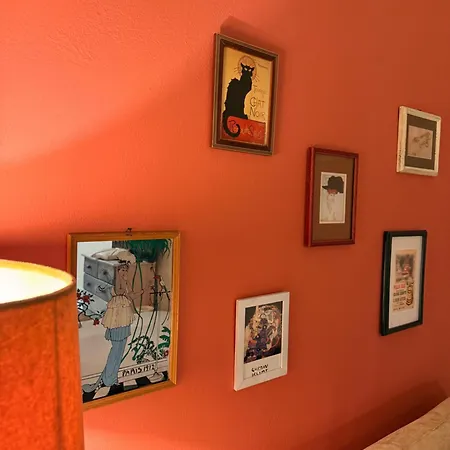 Boho Eltha Lotus * 帕特雷